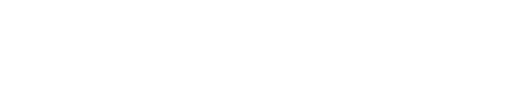 Logo Lindörfer + Steiner Weiß